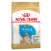 Royal Canin Bulldog Puppy - Výhodné balení 2 x 12 kg