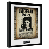 Obraz na zeď - Harry Potter - Undesirable No 1, 34x44.2 cm