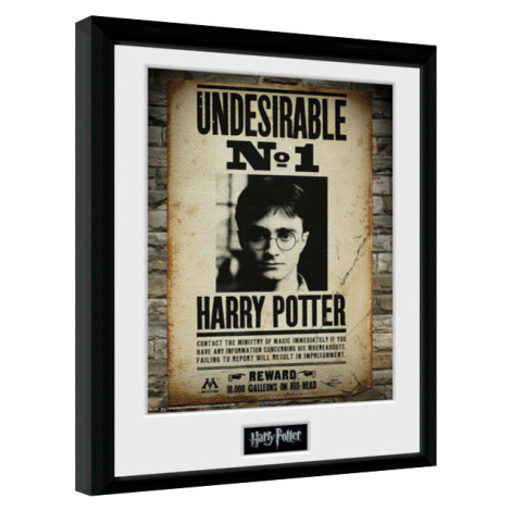 Obraz na zeď - Harry Potter - Undesirable No 1 GB Eye