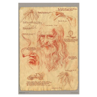 Plakát, Obraz - Leonardo Smoking Pot, Leonardo Da Vinci, 61 × 91.5 cm