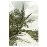 Fotografie Sanibel Island | Vintage, Melanie Viola, 26.7x40 cm