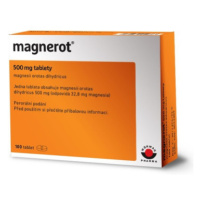 Magnerot 500mg tbl.nob.100 I