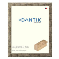 DANTIK rámeček 40 × 50, BOX film champagne sklo čiré