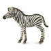 COLLECTA Zebra