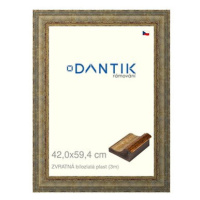 DANTIK rámeček 42 × 59,4, ZVRATNÝ bílozlatý plast plexi čiré