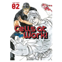 Cells At Work! 2 - Akane Shimizu - kniha z kategorie Komiksy