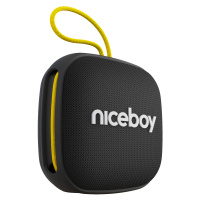 Niceboy RAZE Mini 4