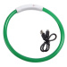 Reedog Full Light USB dobíjecí svítící obojek pro psy a kočky - zelená  M