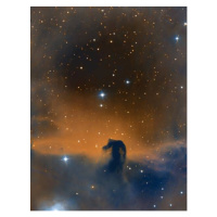 Fotografie The Horsehead Nebula, MilosGagic, 30 × 40 cm