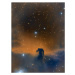 Fotografie The Horsehead Nebula, MilosGagic, 30 × 40 cm