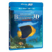 Bahamské dobrodružství 3D - Blu-ray