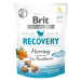 Brit Care Dog Functional Snack Recovery Herring 150 g