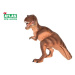 G - Figurka Dino Tyrannosaurus Rex 22 cm