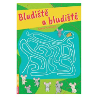 Bludiště a bludiště