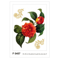 F 0457 AG Design Samolepicí dekorace - samolepka na zeď - Red flower with golden elements, velik