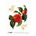 F 0457 AG Design Samolepicí dekorace - samolepka na zeď - Red flower with golden elements, velik