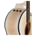 Taylor 614ce LTD 50th Anniversary