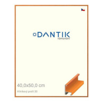 DANTIK rámeček 40 × 50, ALU profil 6030 Dýha barevný oranžový sklo čiré