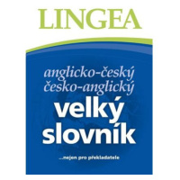 Anglicko-český, česko-anglický velký slovník ...nejen pro překladatele - 3. vydání