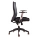 Ergonomická kancelářská židle OfficePro Calypso Barva: červená