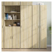 vidaXL Skříň highboard dub sonoma 50 x 42,5 x 185 cm kompozitní dřevo