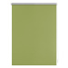 Lichtblick Termo zatemňovací roleta, od 45 x 150 cm (100 x 150 cm, zelená)