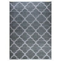 Berfin Dywany AKCE: 80x150 cm Kusový koberec Lagos 1052 Grey (Silver) - 80x150 cm