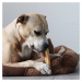 Panakei - Himalájská dentální tyčinka pro psa ( bez laktózy ) Balenie: M