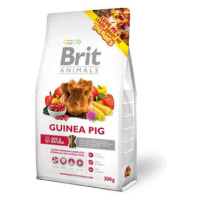 Brit Animals Guinea Pig Complete 300 g