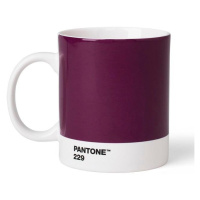 Pantone Hrnek - Aubergine 229