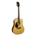 Brunswick Dreadnought BDL200 Natural LH