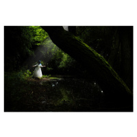 Fotografie at the mystic lake, Axel K. Schoeps, 40x26.7 cm