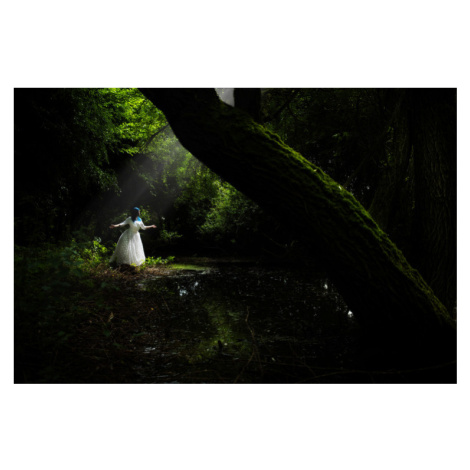 Plakát, Obraz - at the mystic lake, Axel K. Schoeps, 40 × 26.7 cm