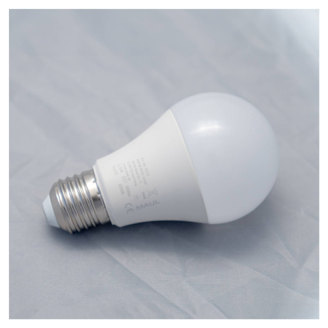 Maul LED žárovka, matná, E27, 6,5 W, 3000 K, 900 lm