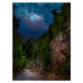 Fotografie Trees by road against sky at night,Romania, Daniel Ion / 500px, 30 × 40 cm