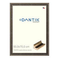 DANTIK rámeček 50 × 70, TOOTH malý stříbrno černý plexi čiré