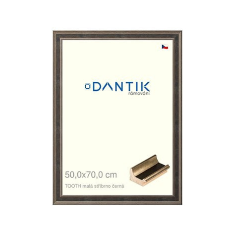 DANTIK rámeček 50 × 70, TOOTH malý stříbrno černý plexi čiré