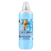 Coccolino aviváž Blue Splash 975 ml 39PD