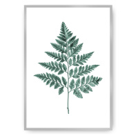 Dekoria Plakát Fern Emerald Green, 30 x 40 cm, Ramka: Srebrna