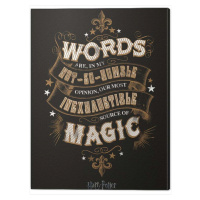 Obraz na plátně Harry Potter - Words, (60 x 80 cm)