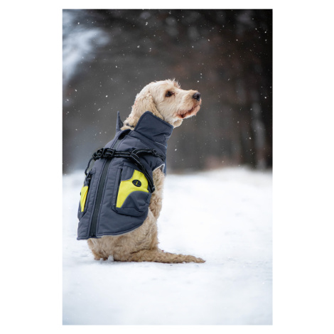 Vsepropejska Tandor zimní bunda pro psa s postrojem Barva: Šedá, Délka zad (cm): 50, Obvod hrudn