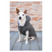 Vsepropejska Mix zimní bunda pro psa Barva: Modrá, Délka zad (cm): 26, Obvod hrudníku: 32 - 38 c