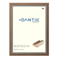 DANTIK rámeček 50 × 70, AMALFI okrový plexi čiré