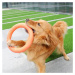 Reedog tréninkový kruh pro psy oranžová