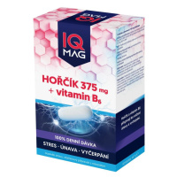 IQ Mag Hořčík 375 mg + vitamin B6 60 tobolek