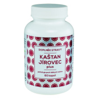 NATURVITA KAŠTAN JÍROVEC plus 60 kapslí