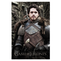 Umělecký tisk Game of Thrones - Robb Stark, 26.7 × 40 cm