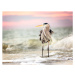 Fotografie Amazing Great Blue Heron at Sunrise, Vicki Jauron, Babylon and Beyond Photography, 40