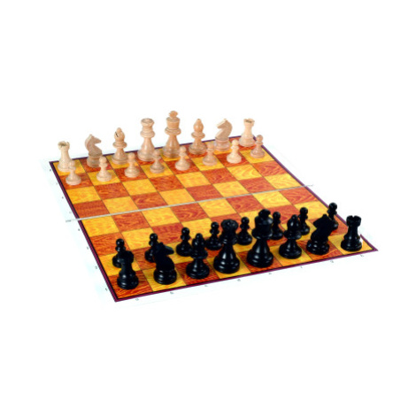Šachy Steution Detoa