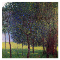 Obrazová reprodukce Fruit Trees, Klimt, Gustav, 40 × 40 cm